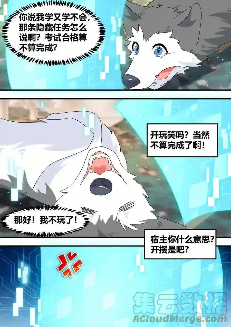 直播：女神家的哈士奇天秀狗生美满