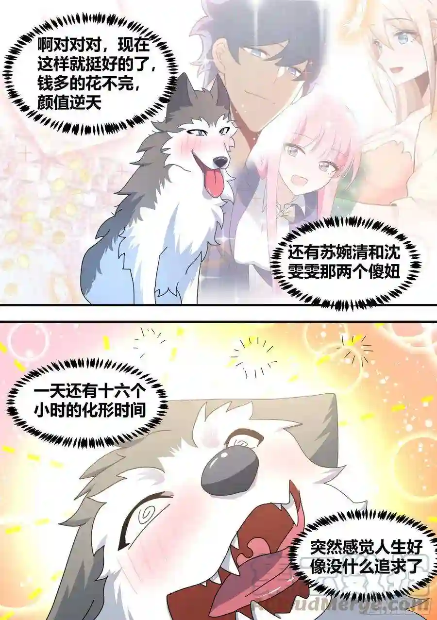 直播：女神家的哈士奇天秀狗生美满