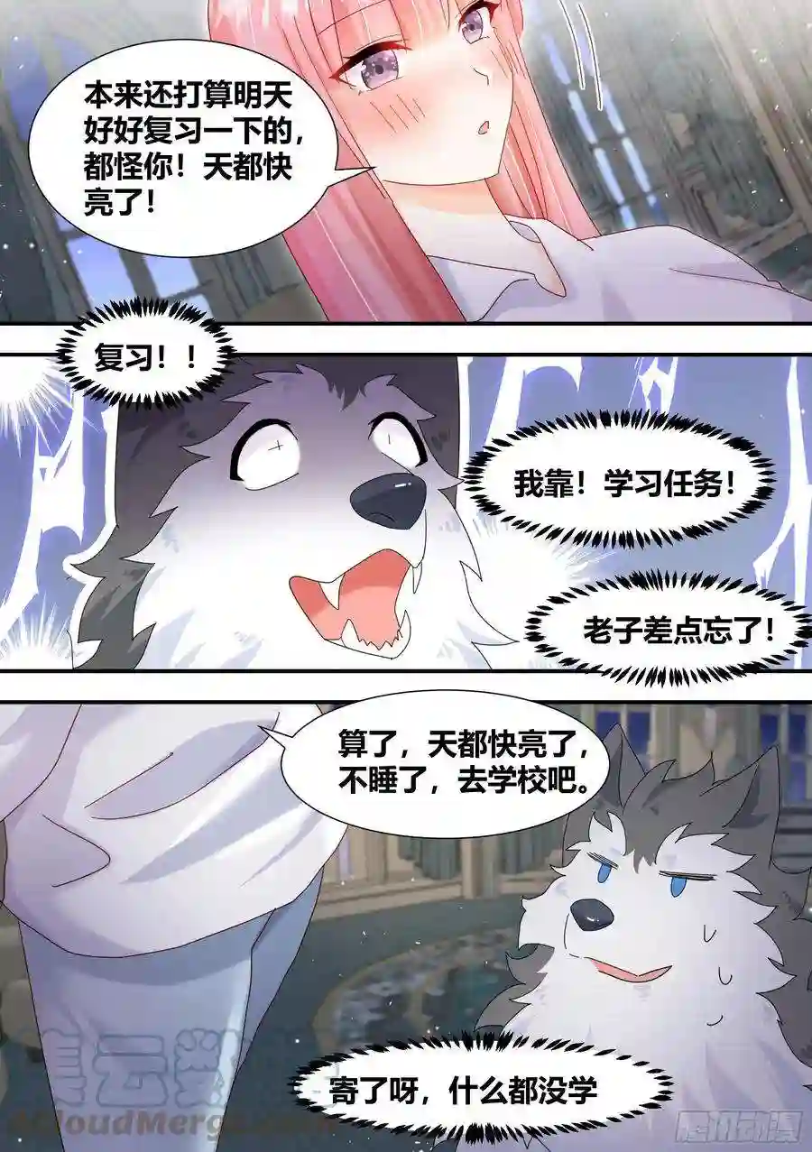 直播：女神家的哈士奇天秀狗生美满