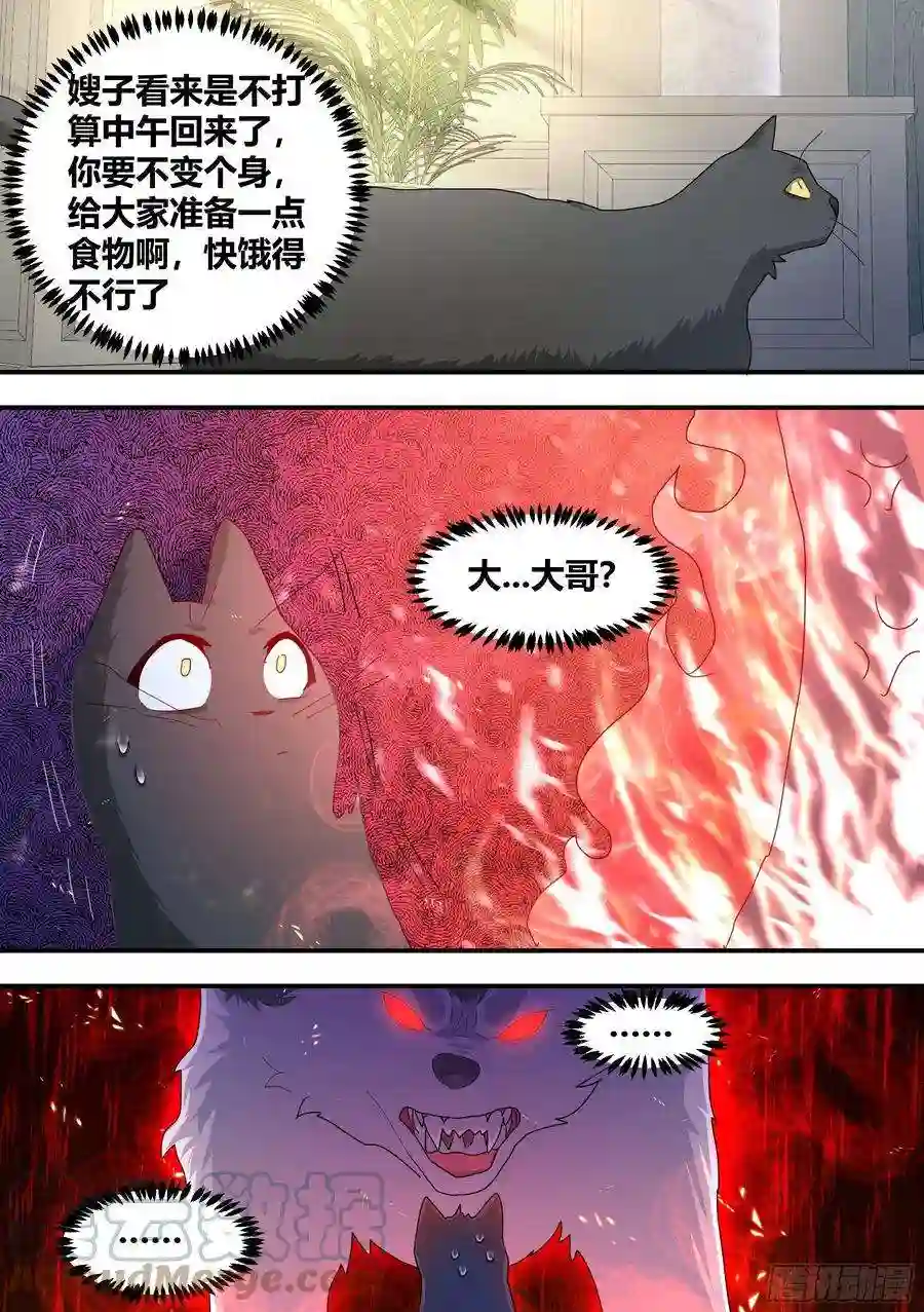 直播：女神家的哈士奇天秀狗生美满