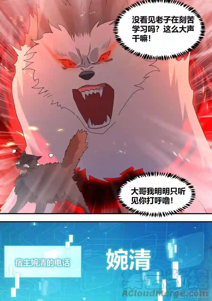 直播：女神家的哈士奇天秀狗生美满