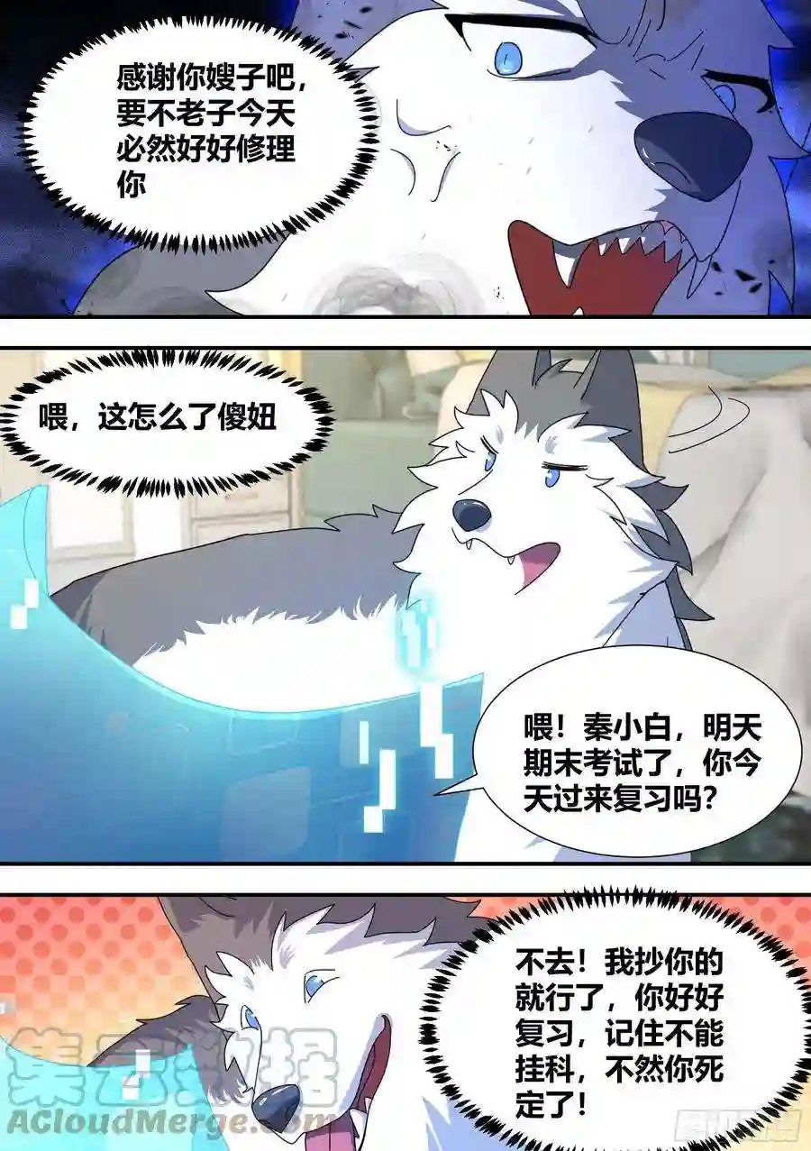 直播：女神家的哈士奇天秀狗生美满