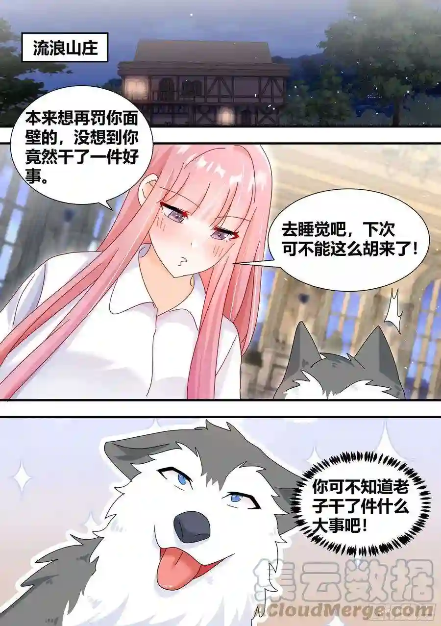 直播：女神家的哈士奇天秀294-狗生美满