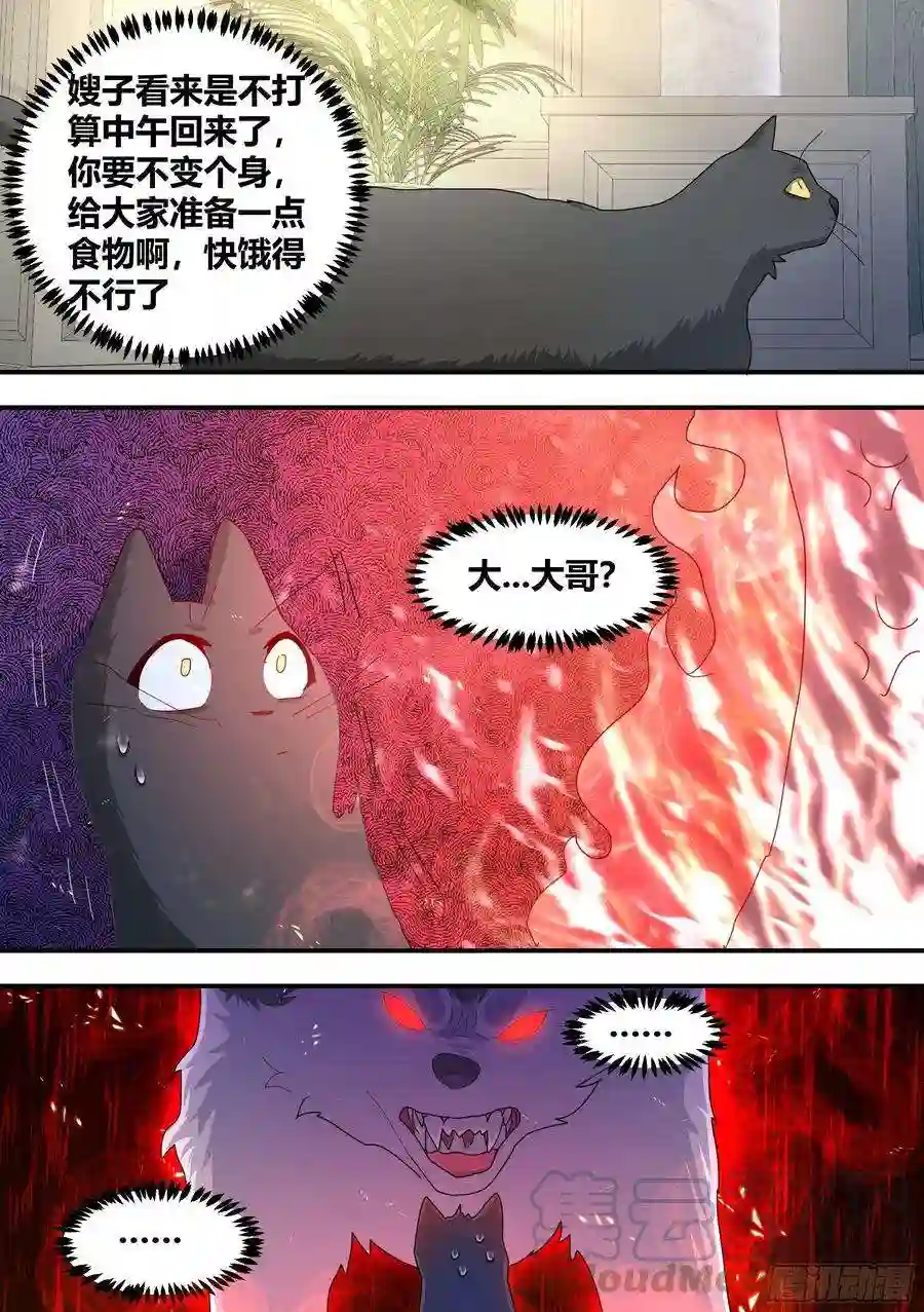 直播：女神家的哈士奇天秀294-狗生美满