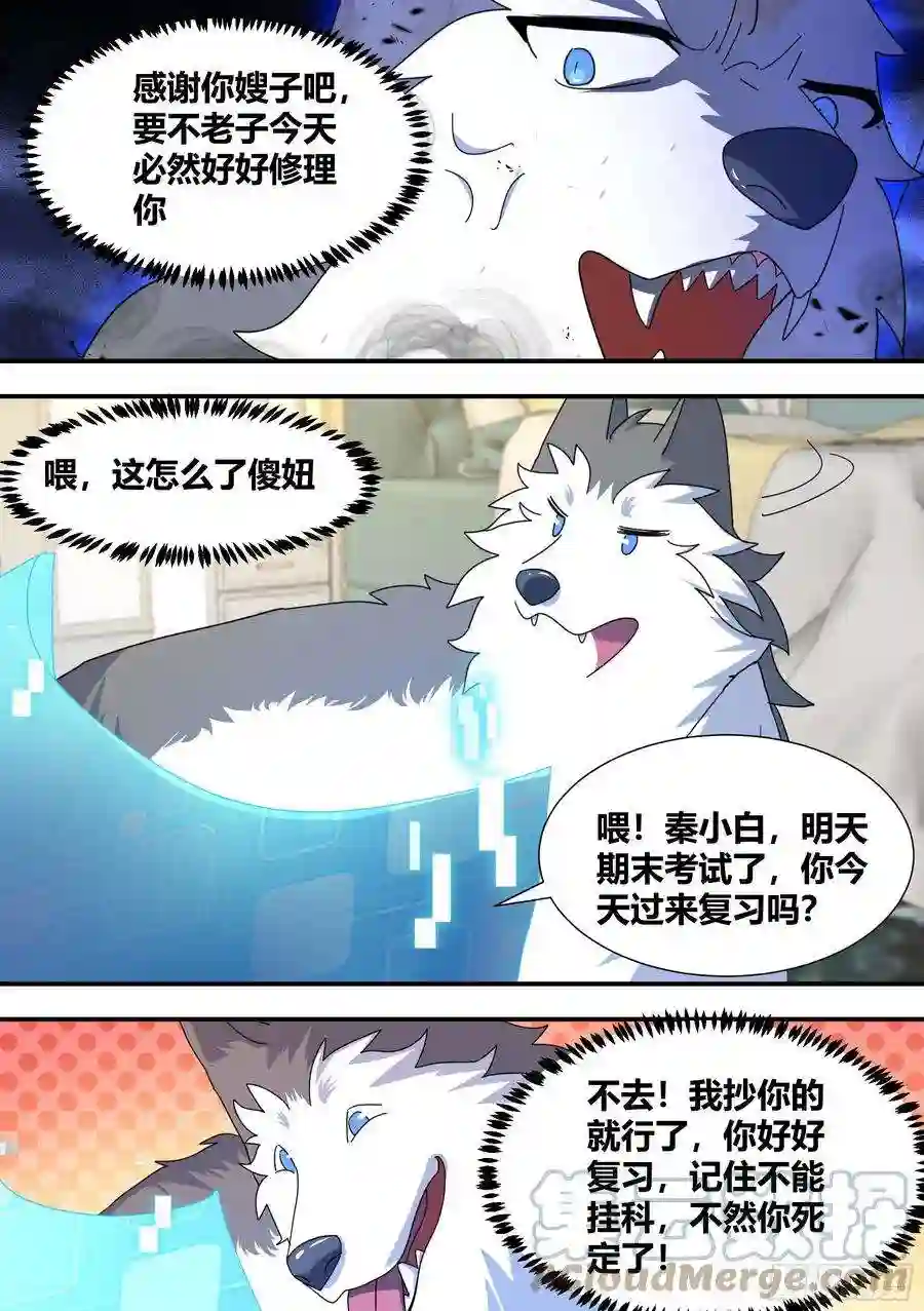 直播：女神家的哈士奇天秀294-狗生美满