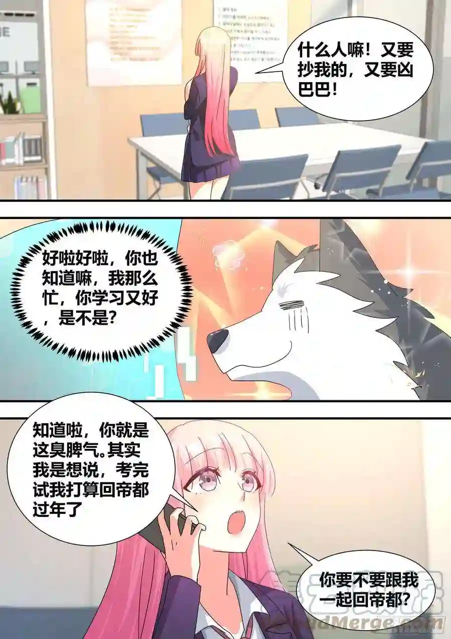 直播：女神家的哈士奇天秀294-狗生美满