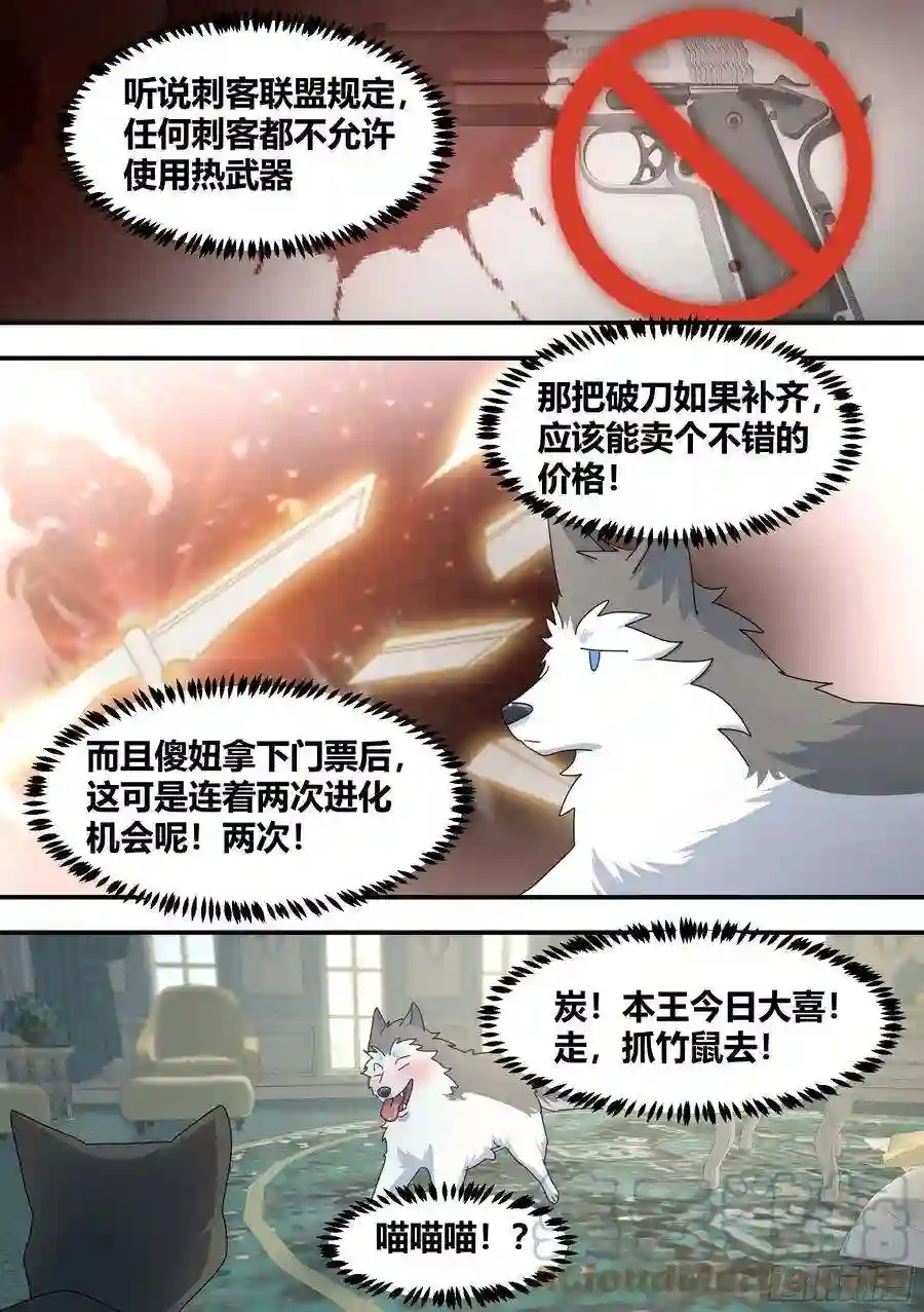 直播：女神家的哈士奇天秀295-合作愉快