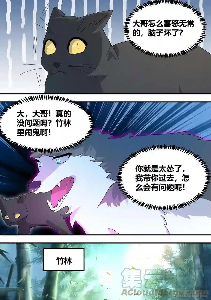 直播：女神家的哈士奇天秀295-合作愉快
