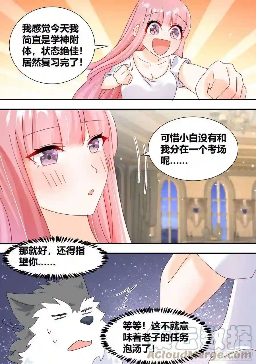 直播：女神家的哈士奇天秀295-合作愉快