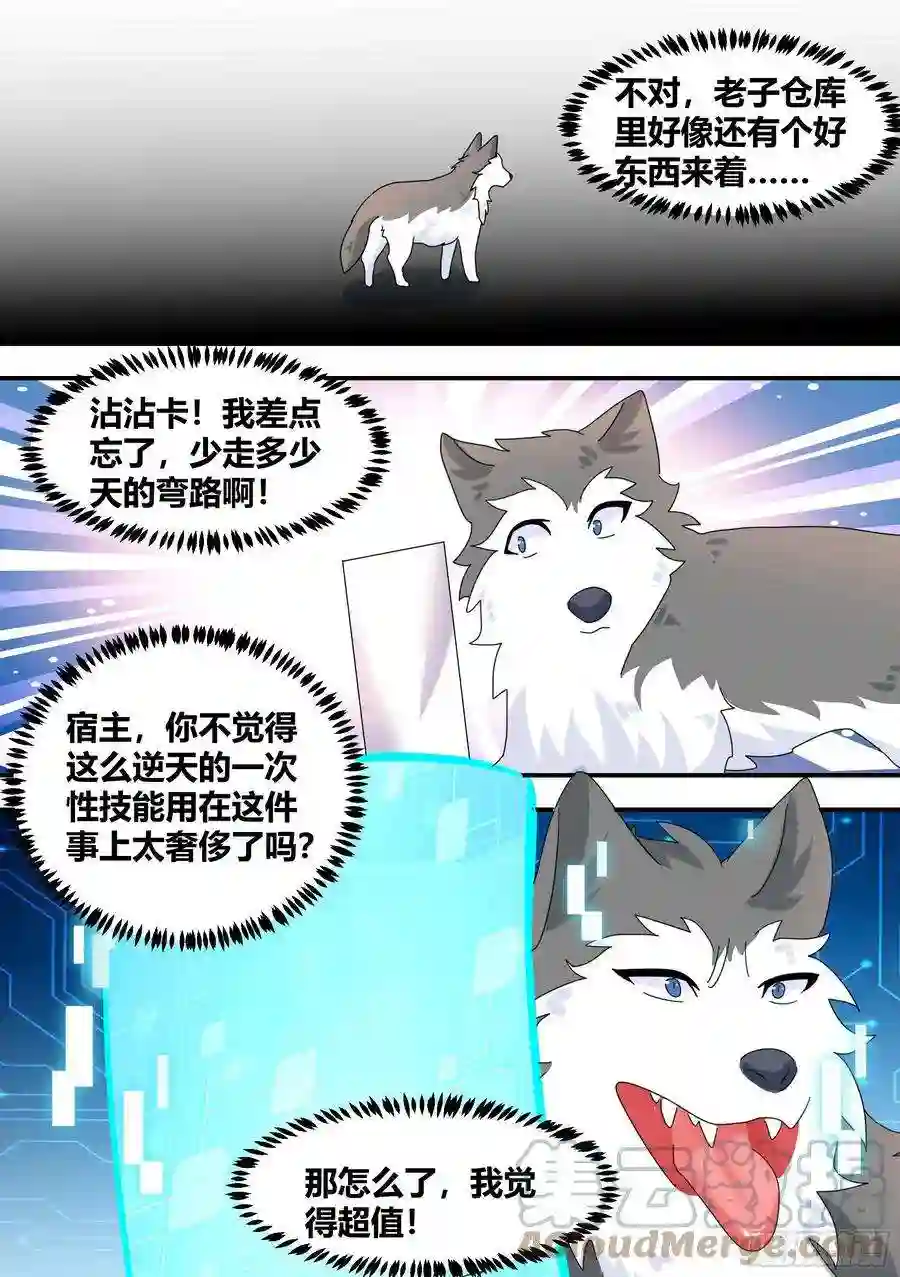 直播：女神家的哈士奇天秀295-合作愉快