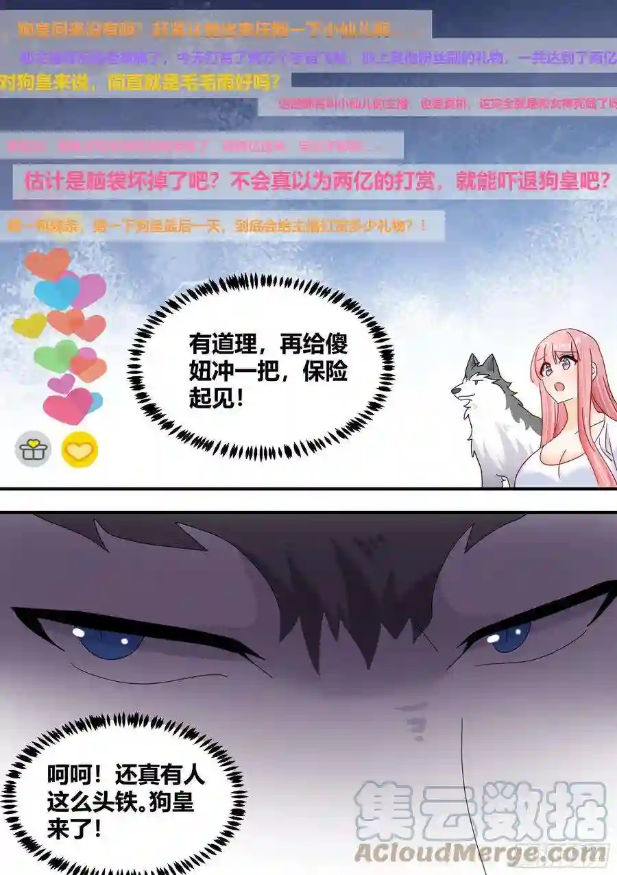 直播：女神家的哈士奇天秀295-合作愉快