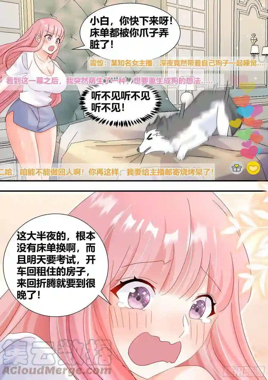 直播：女神家的哈士奇天秀296-哈士奇的选择