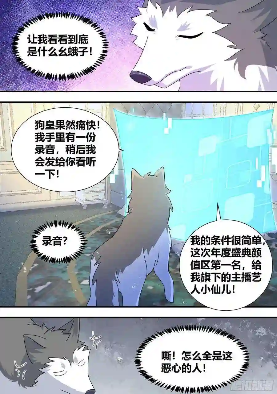 直播：女神家的哈士奇天秀296-哈士奇的选择