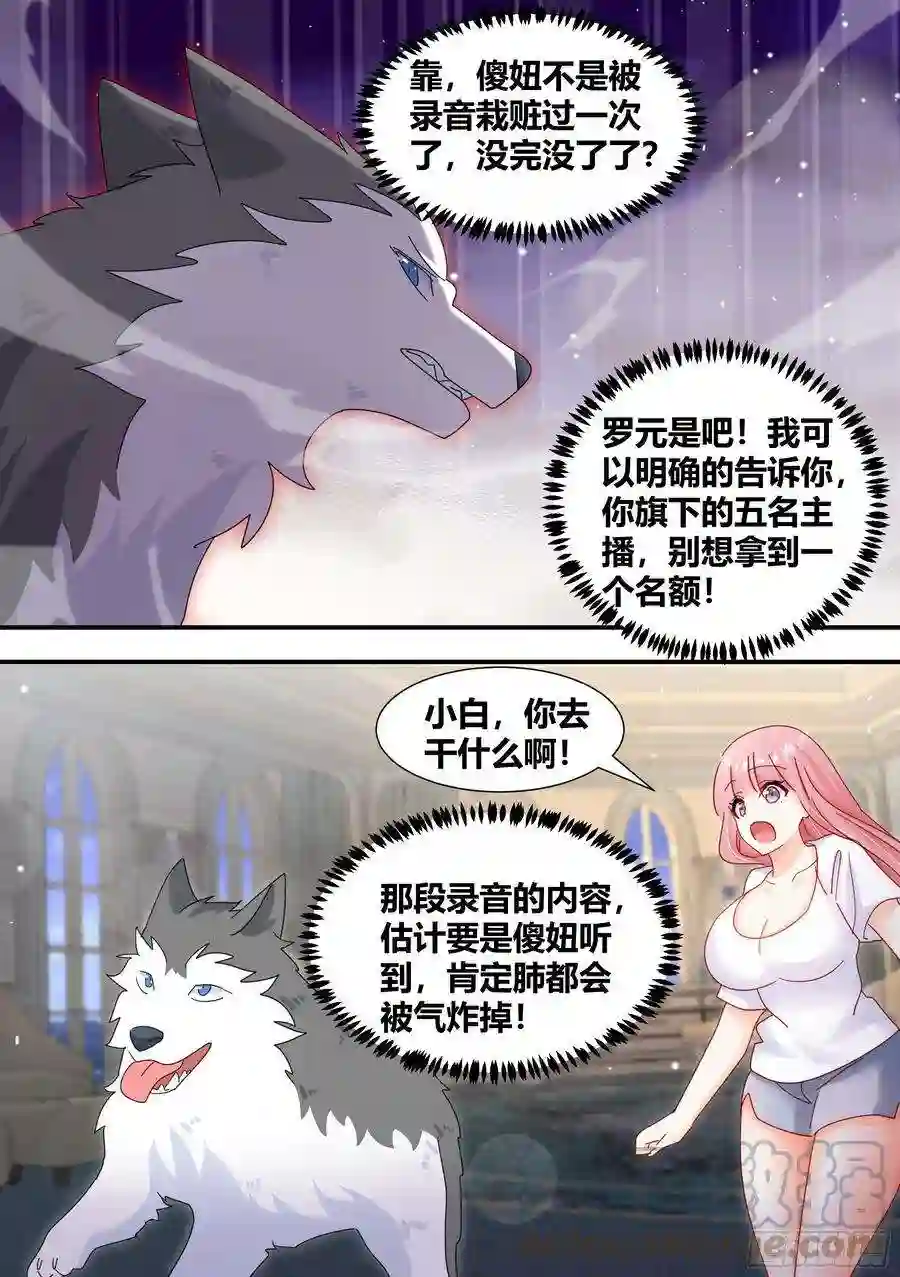直播：女神家的哈士奇天秀296-哈士奇的选择