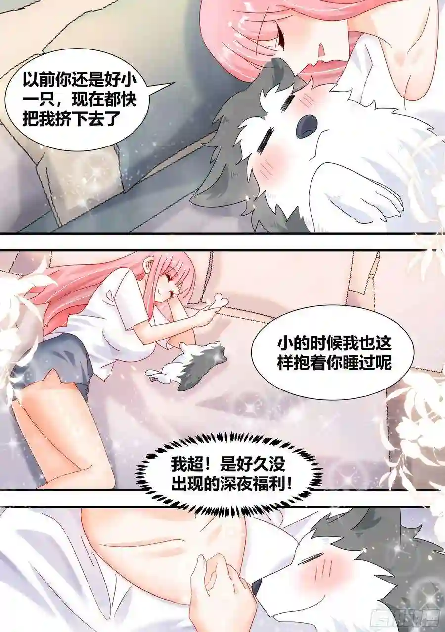 直播：女神家的哈士奇天秀297-第一