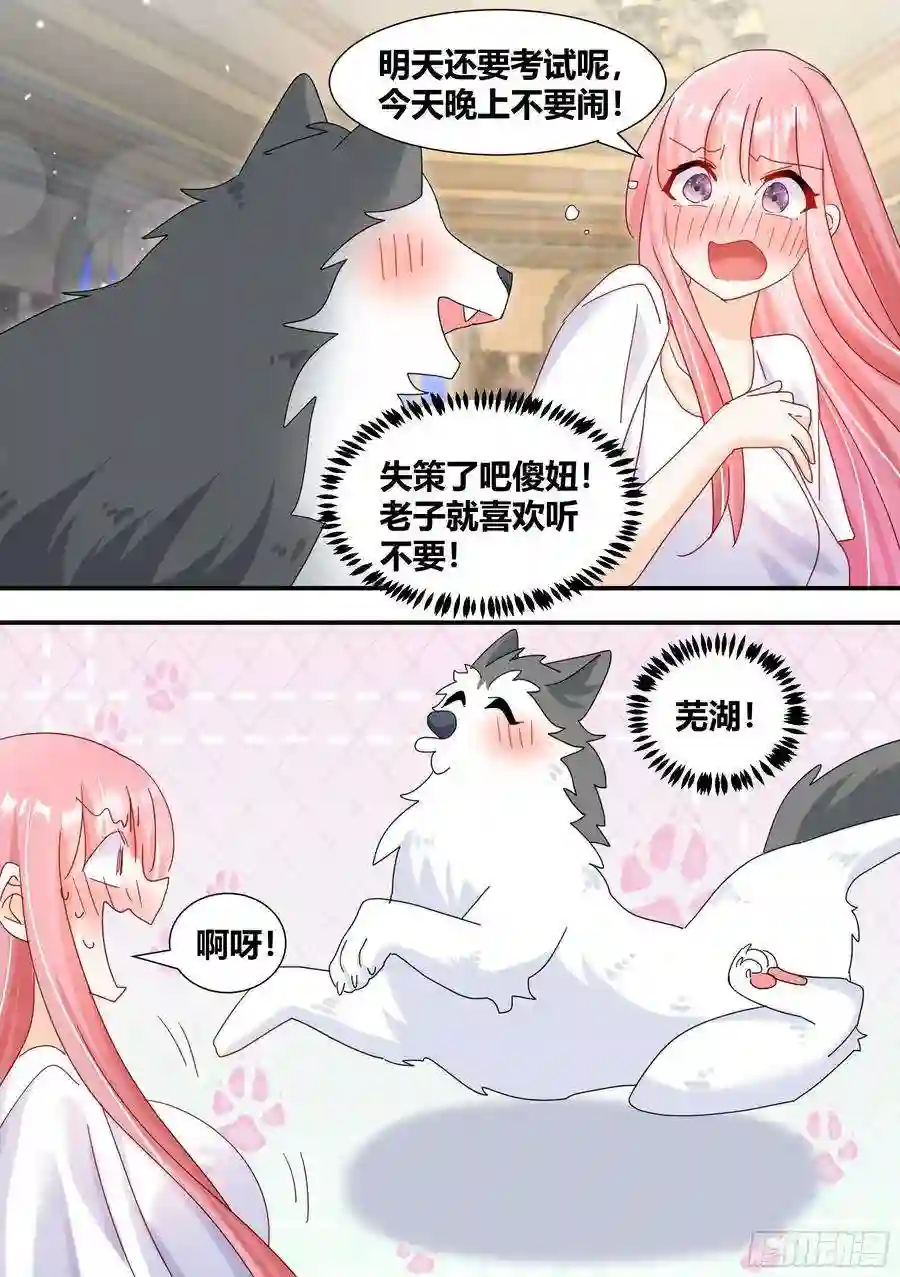 直播：女神家的哈士奇天秀297-第一