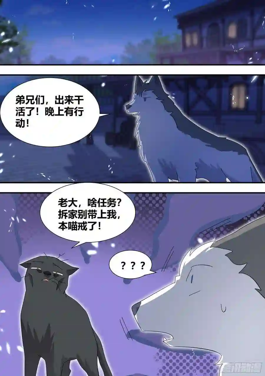 直播：女神家的哈士奇天秀327-去拆家！