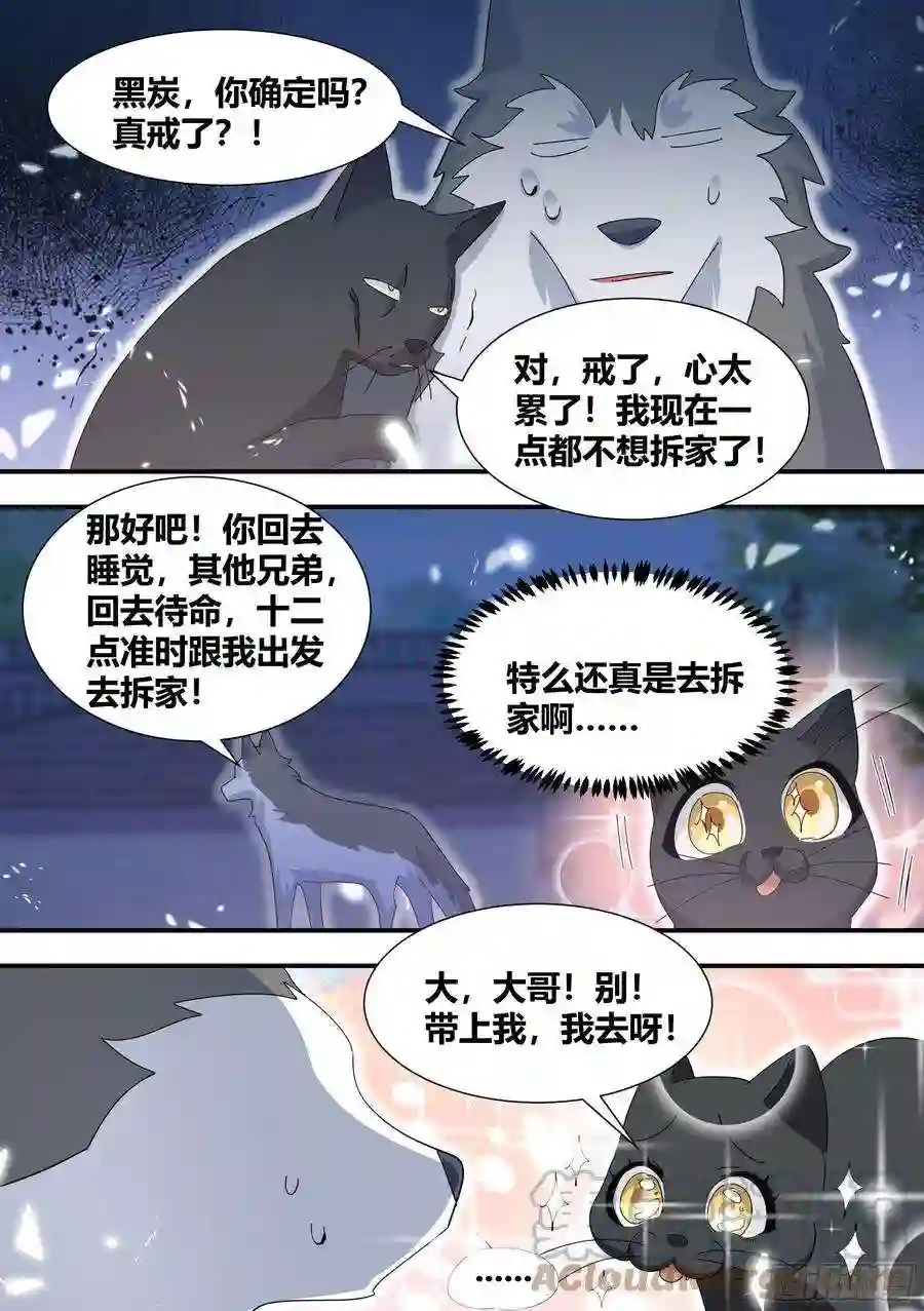 直播：女神家的哈士奇天秀327-去拆家！