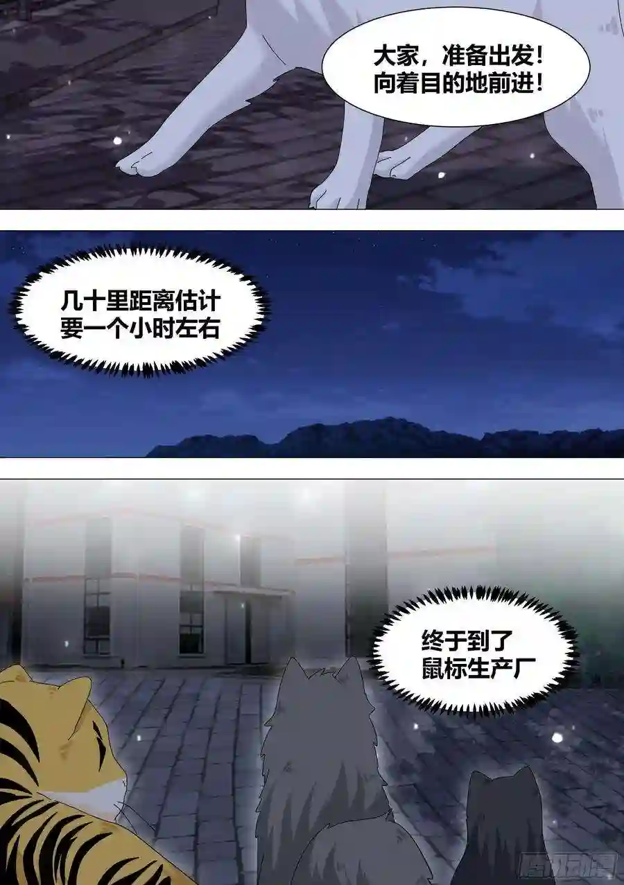 直播：女神家的哈士奇天秀328-收工！