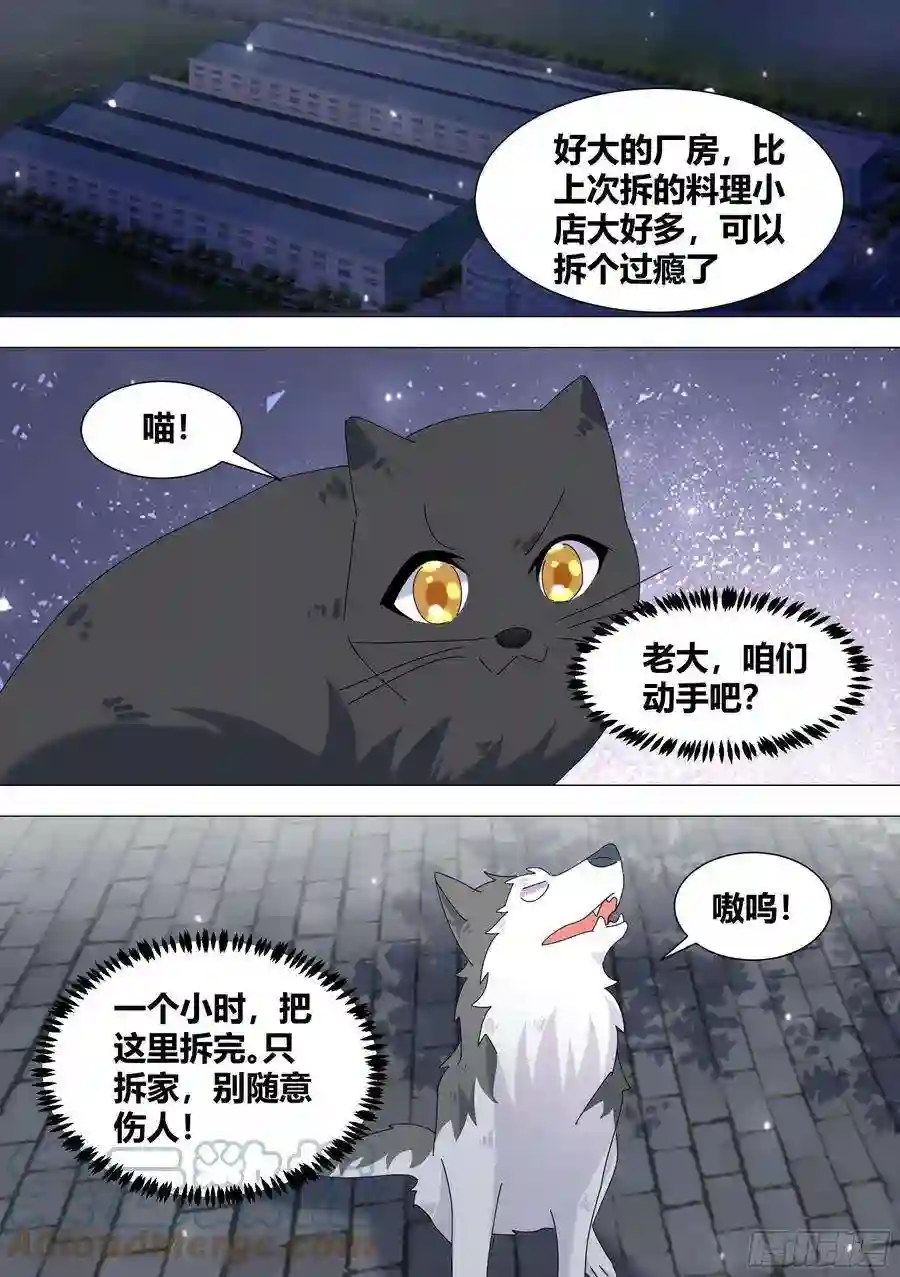 直播：女神家的哈士奇天秀328-收工！