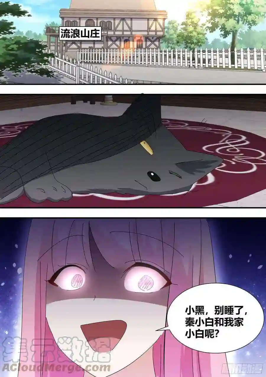 直播：女神家的哈士奇天秀329-又闯祸了？！