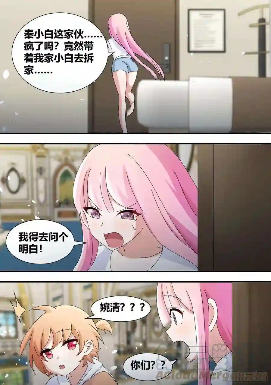 直播：女神家的哈士奇天秀329-又闯祸了？！