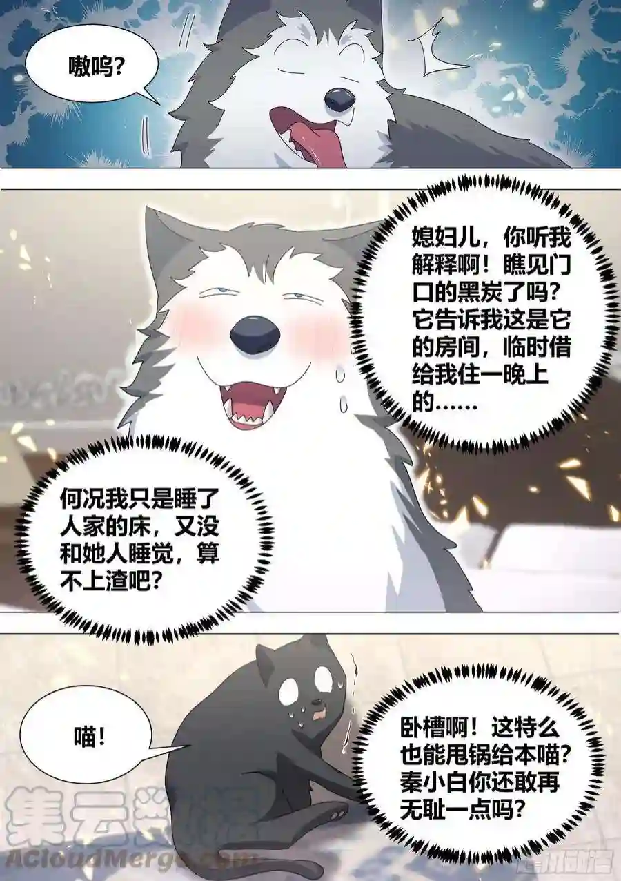 直播：女神家的哈士奇天秀330-渣狗！