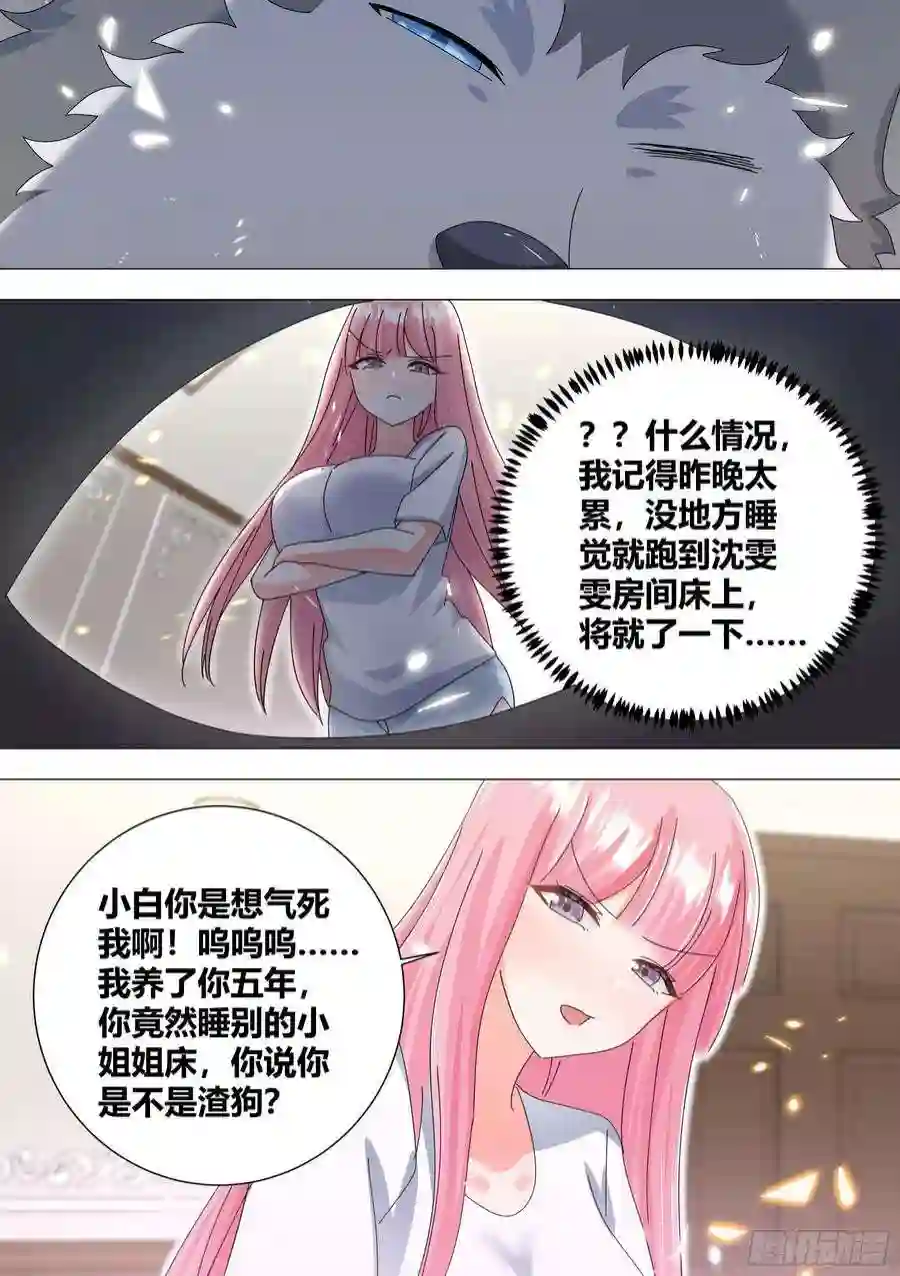 直播：女神家的哈士奇天秀330-渣狗！