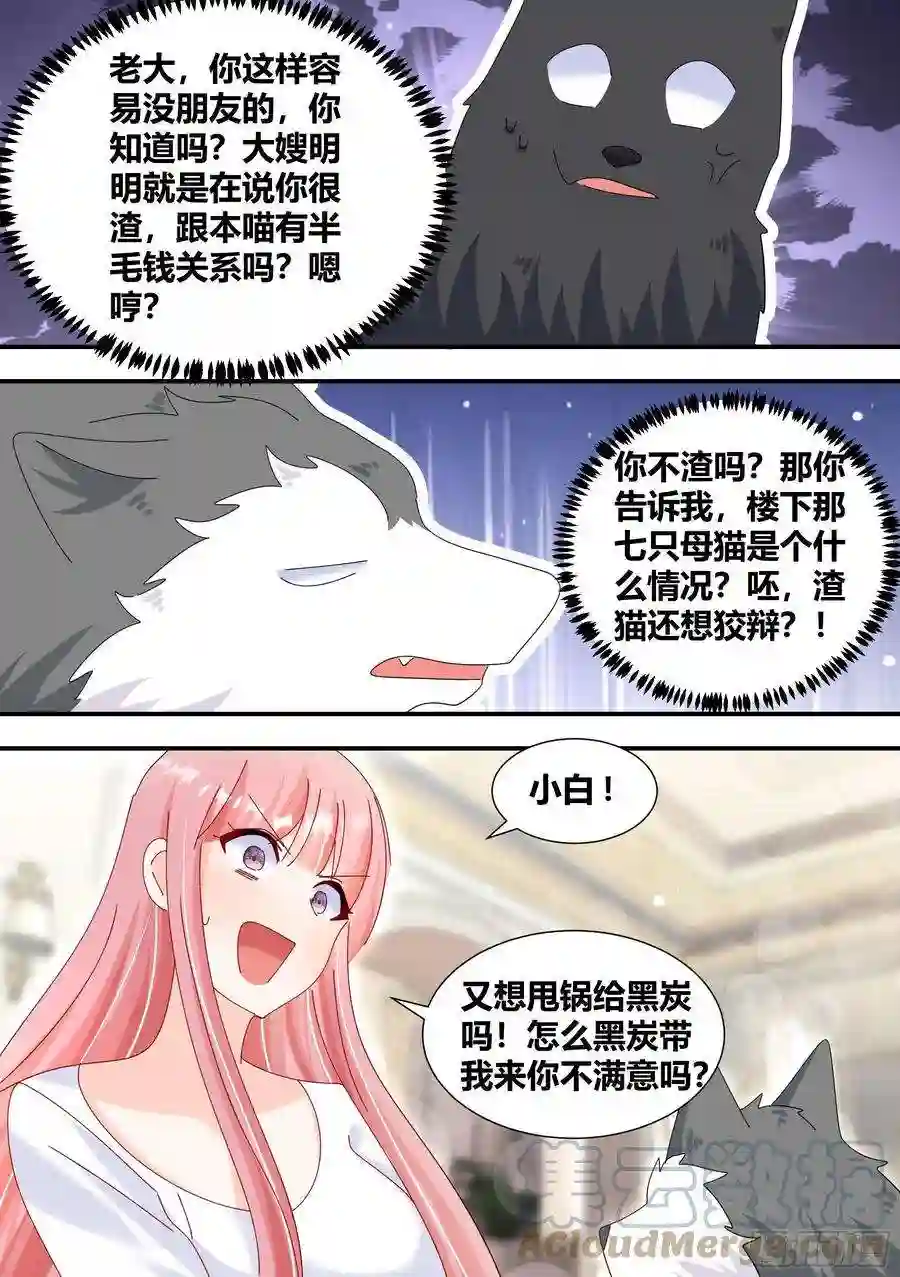 直播：女神家的哈士奇天秀331-那就摆脱你了