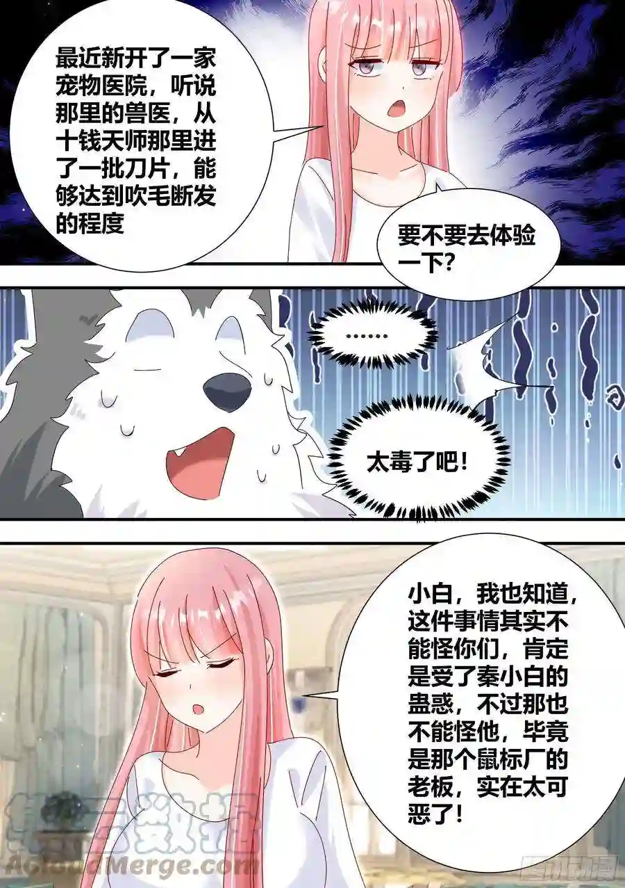 直播：女神家的哈士奇天秀331-那就摆脱你了