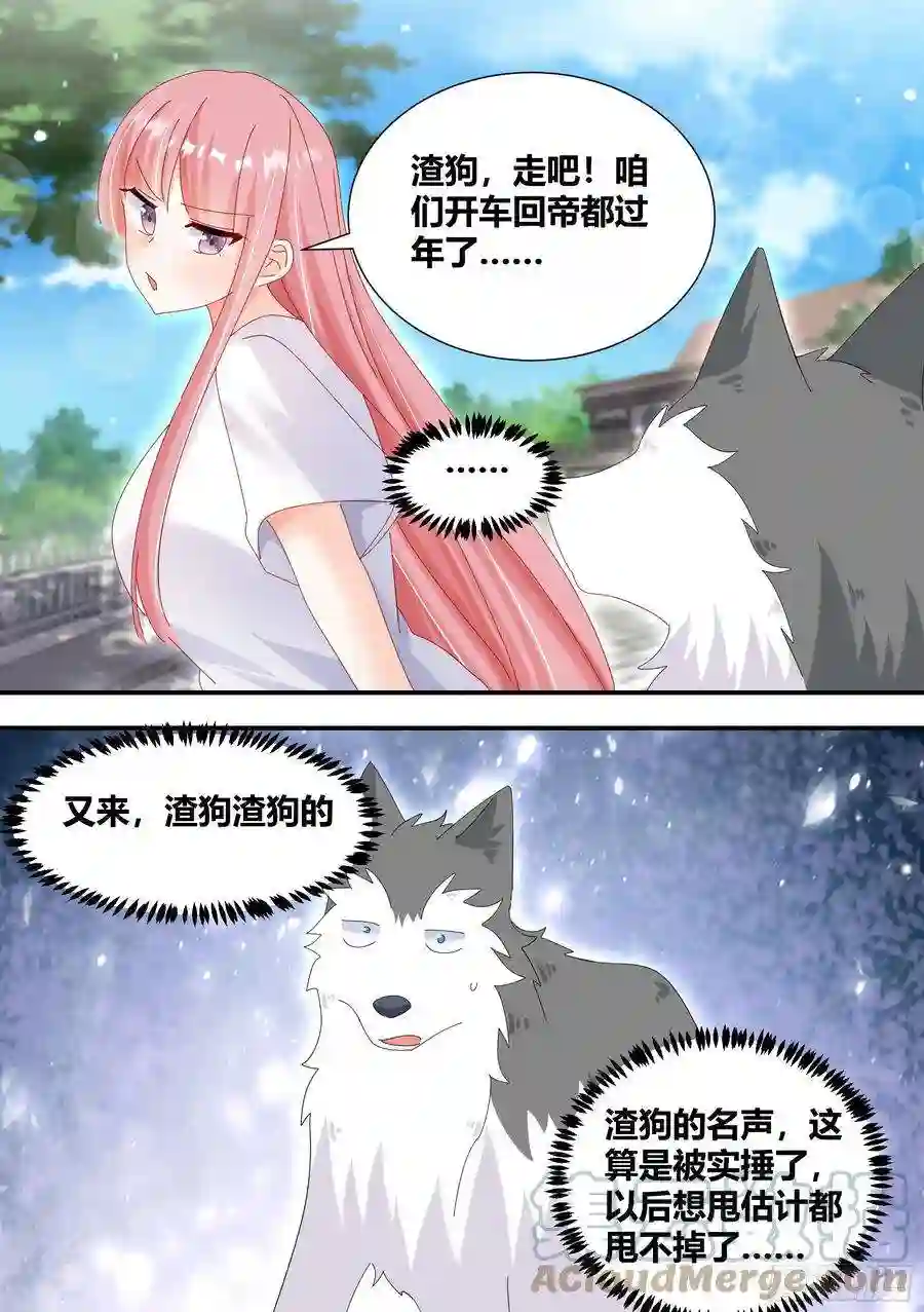 直播：女神家的哈士奇天秀331-那就拜托你了