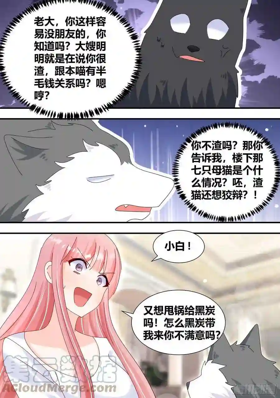 直播：女神家的哈士奇天秀331-那就拜托你了