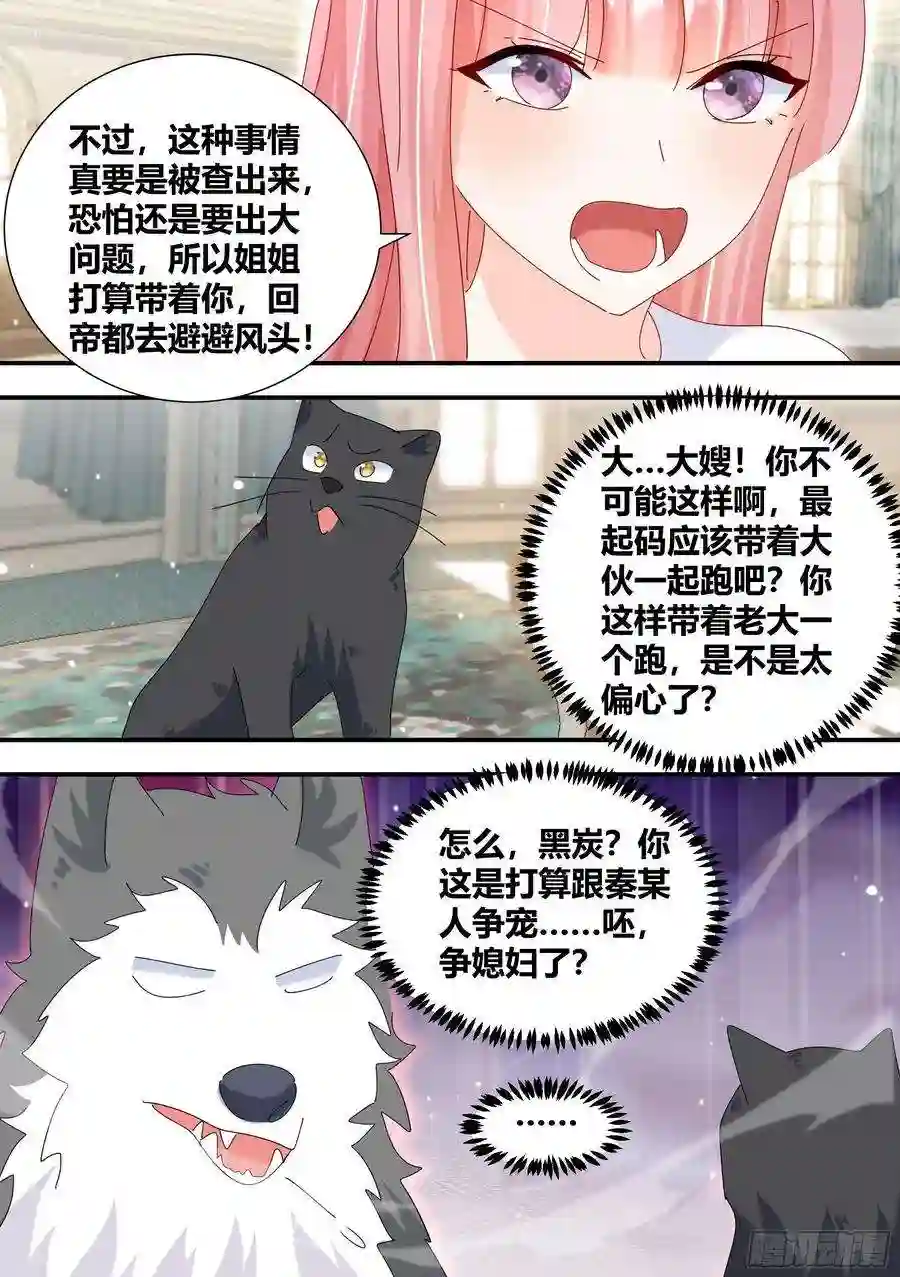 直播：女神家的哈士奇天秀331-那就拜托你了