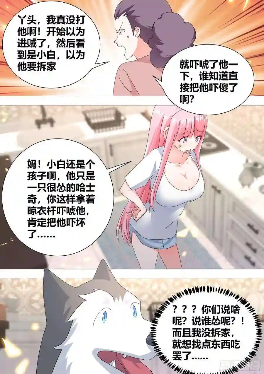 直播：女神家的哈士奇天秀332-做点刺激的