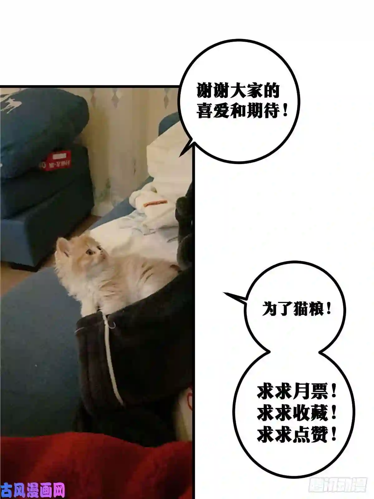 我在异界当教父26-何为不破不立