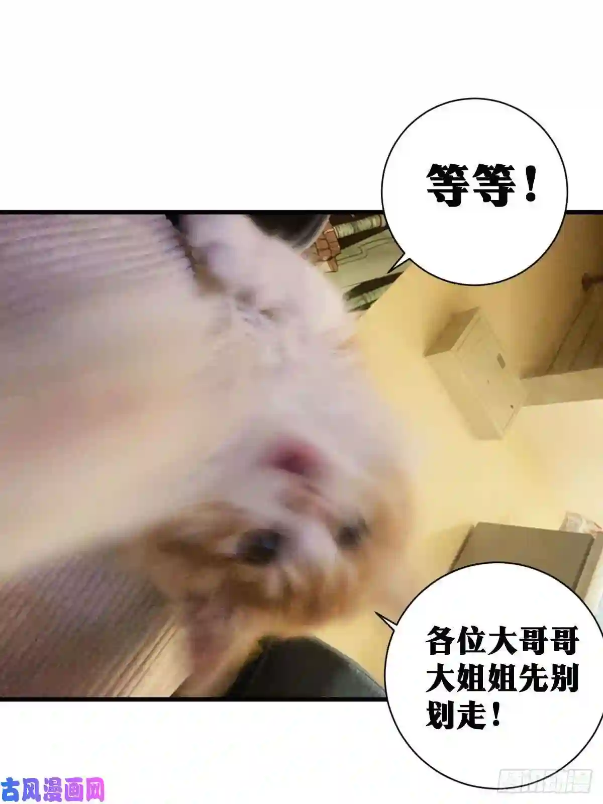 我在异界当教父44-论道开始！