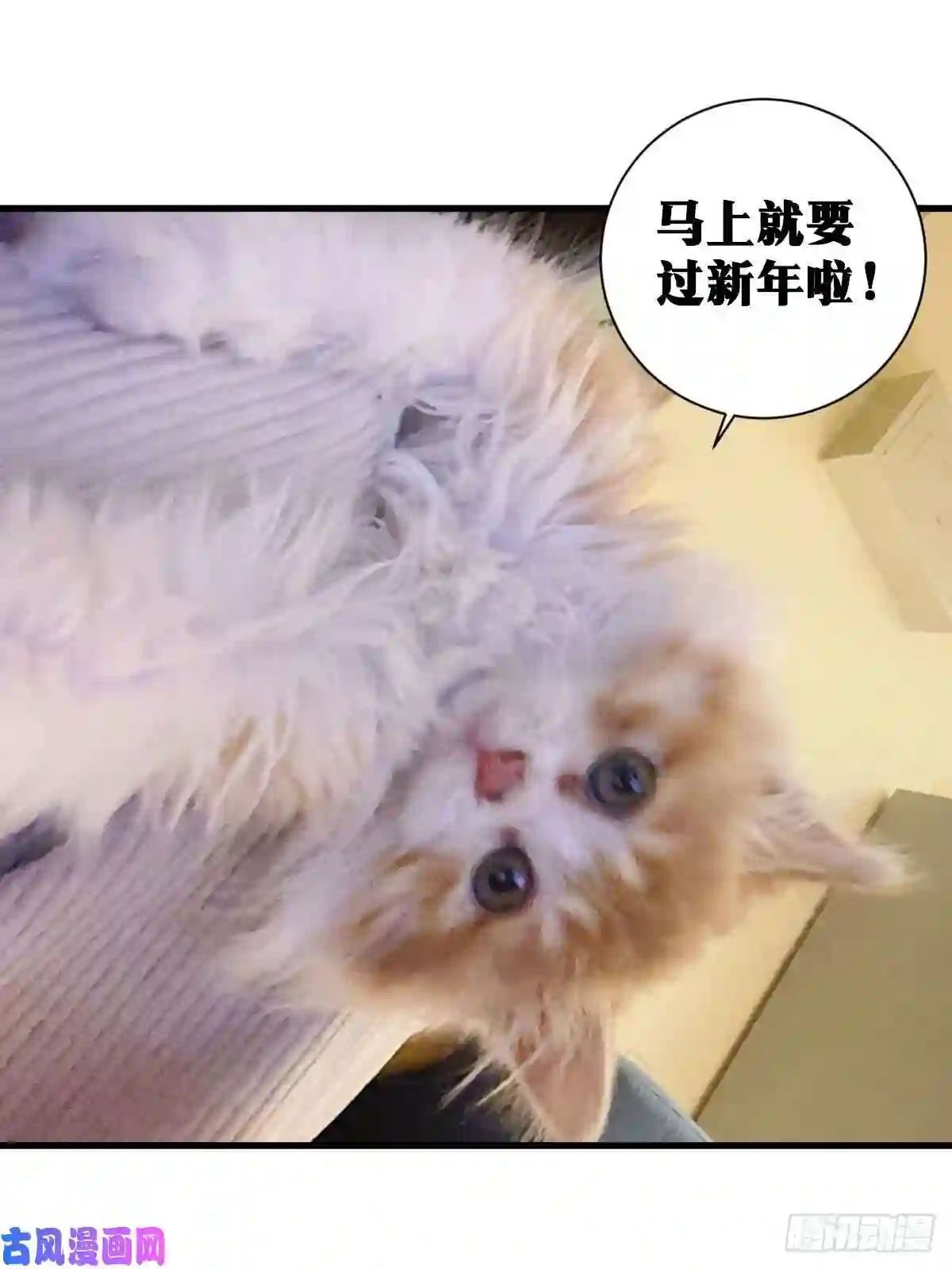 我在异界当教父44-论道开始！
