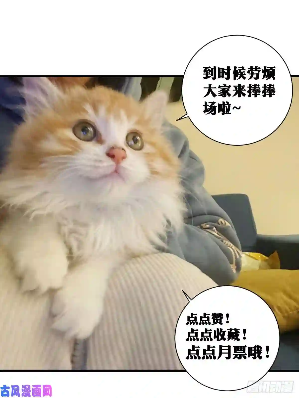 我在异界当教父44-论道开始！
