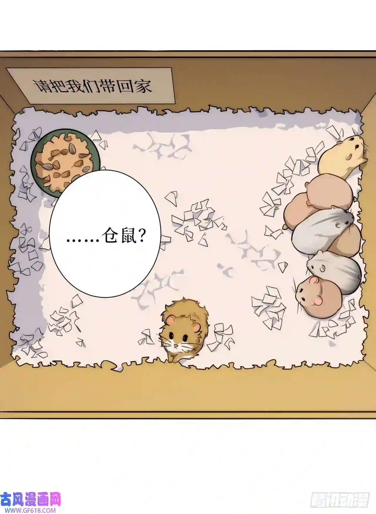 男秘书的使命2.我叫肖秘书，是一只仓鼠