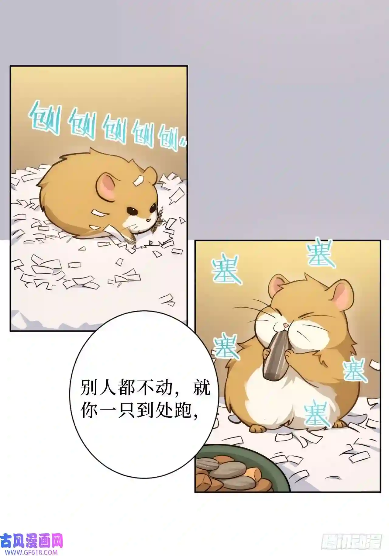 男秘书的使命2.我叫肖秘书，是一只仓鼠