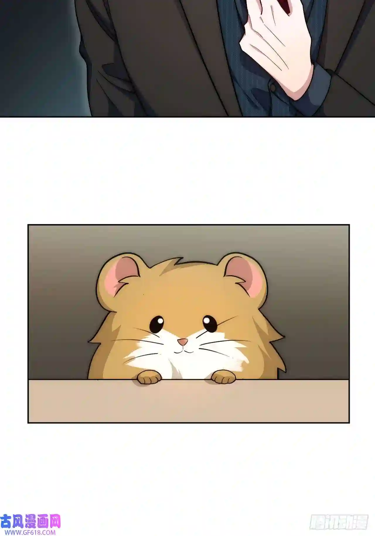 男秘书的使命2.我叫肖秘书，是一只仓鼠