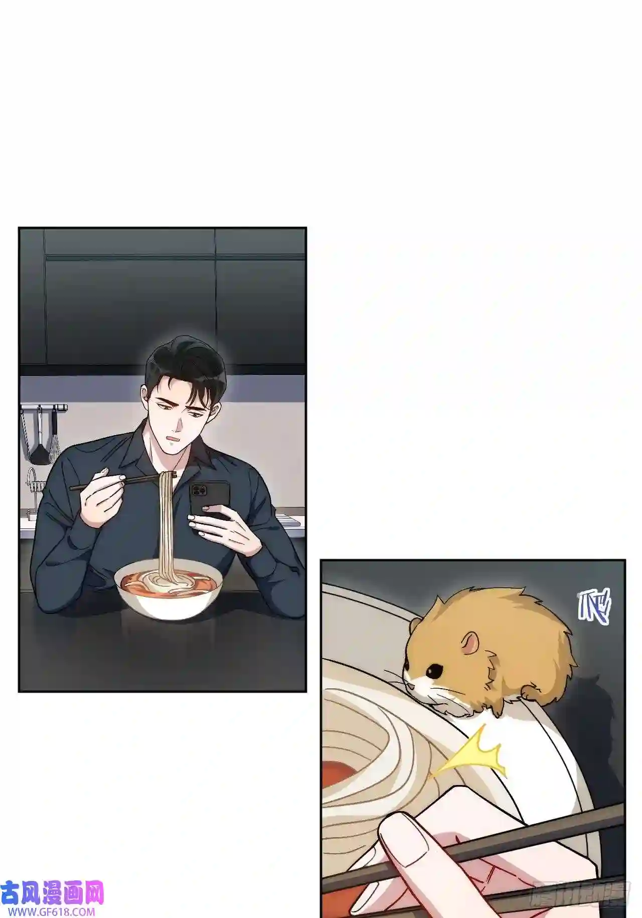 男秘书的使命2.我叫肖秘书，是一只仓鼠