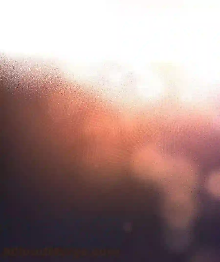 废皇子的神祕爱人7话 阿克斯的祝圣士 （5）