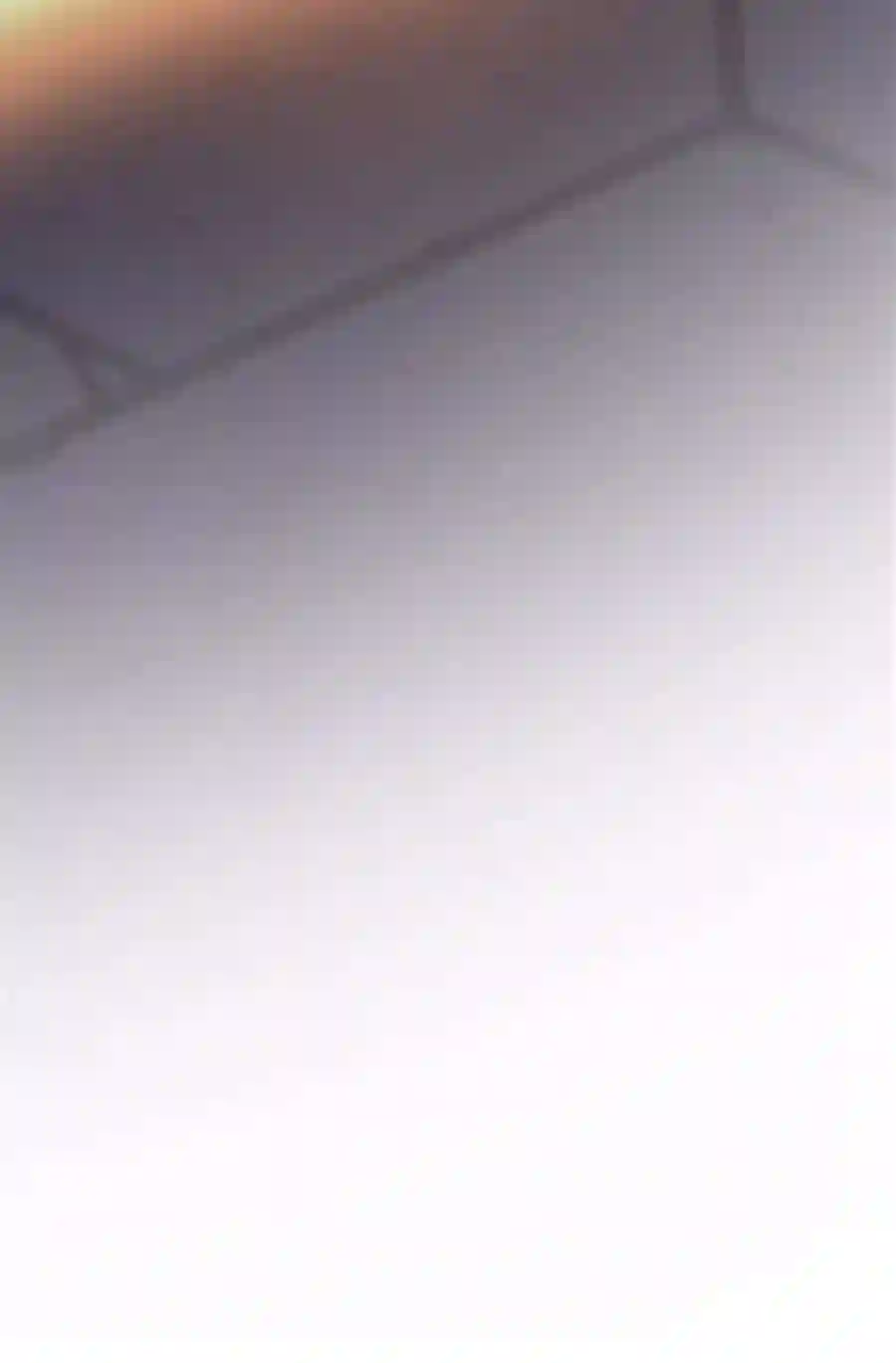 废皇子的神祕爱人51话 谁都有秘密（8）