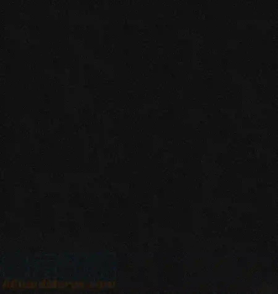 凰妃倾天下002 偶遇沈小姐