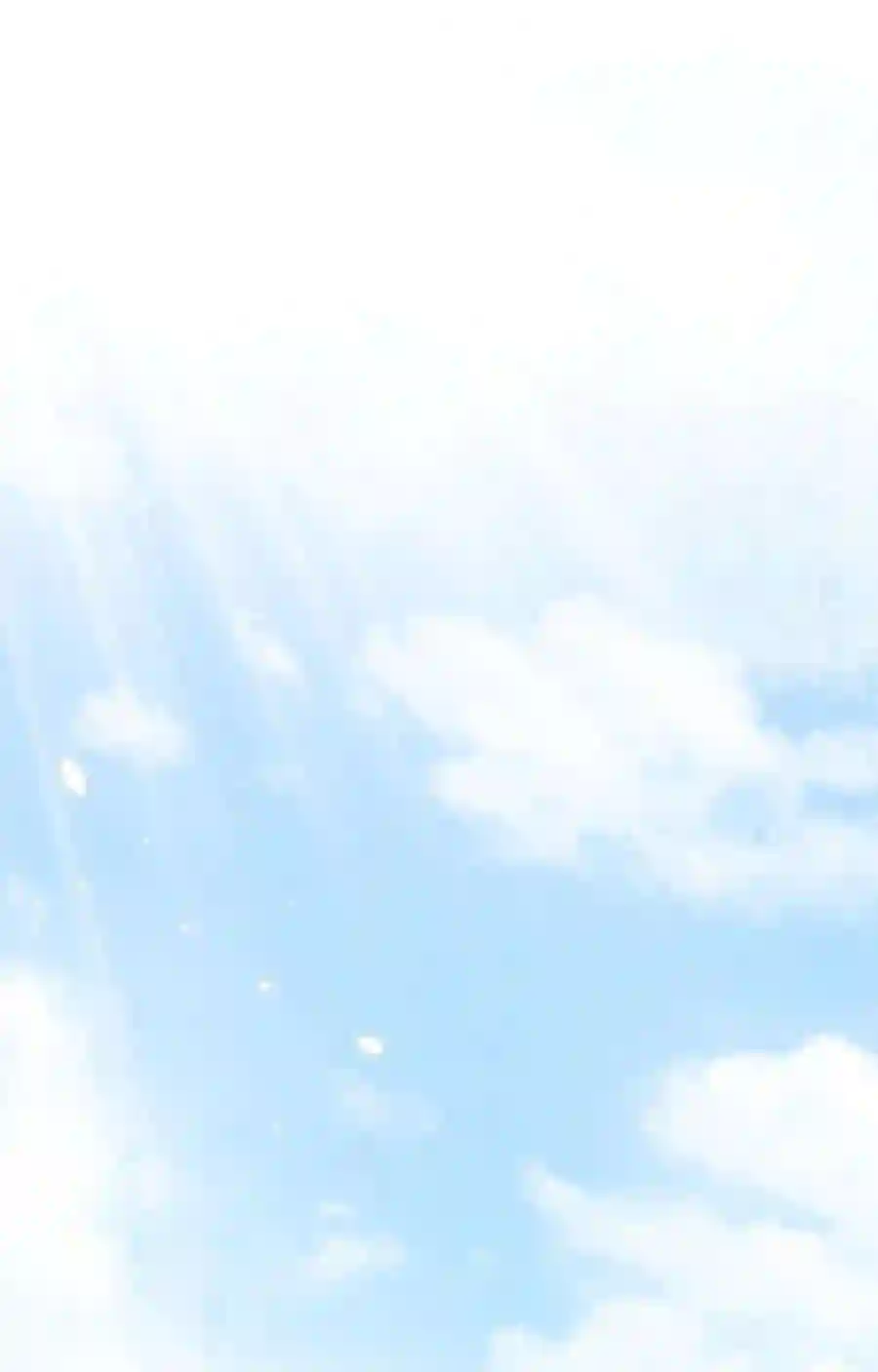 凰妃倾天下003 互换花轿