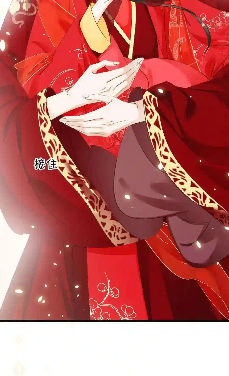 凰妃倾天下003 互换花轿