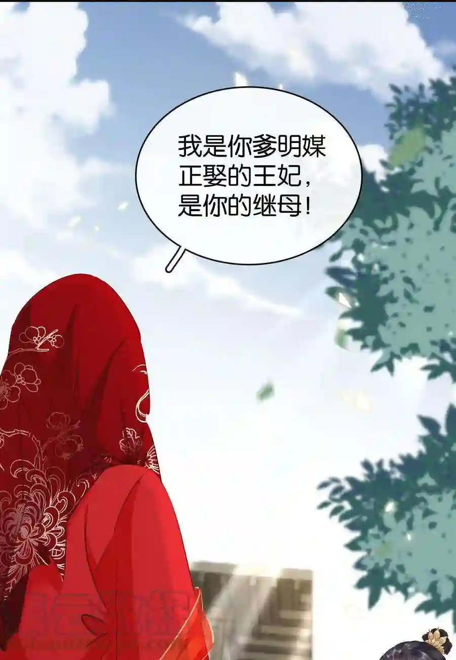 凰妃倾天下003 互换花轿