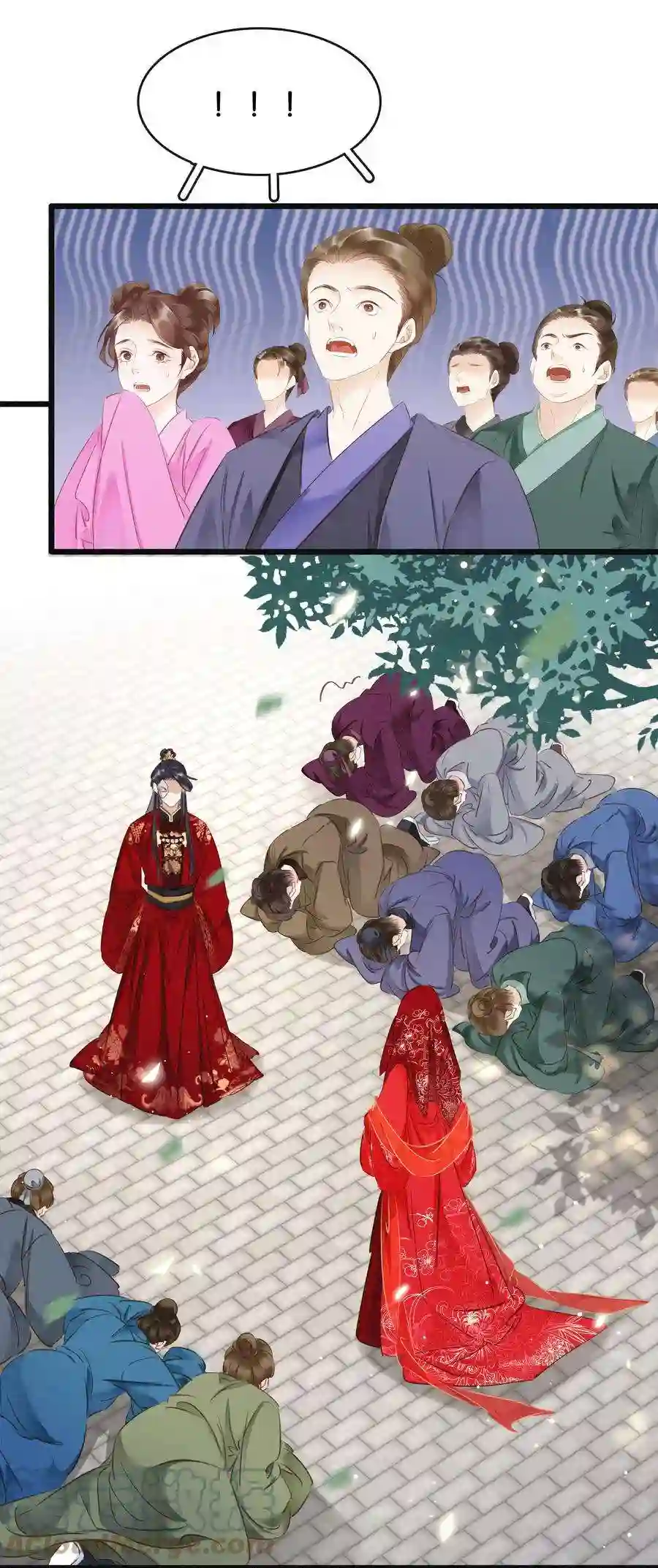 凰妃倾天下003 互换花轿