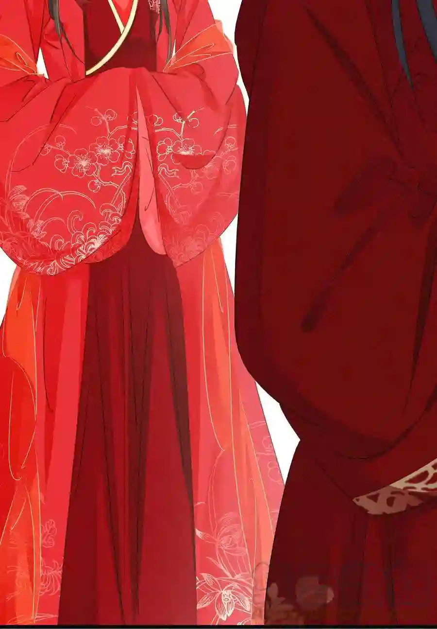 凰妃倾天下003 互换花轿